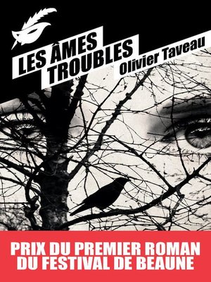 cover image of Les Âmes troubles--Prix du premier roman du festival de Beaune 2015